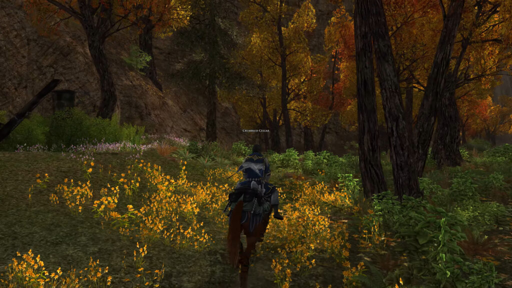 LOTRO photo of Bruinen