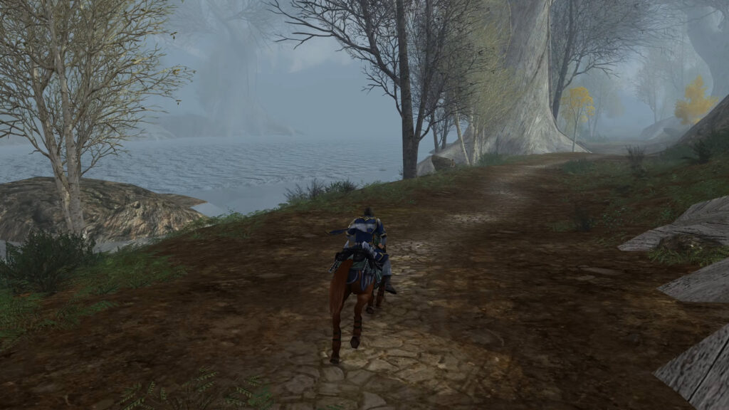 LOTRO photo of Thinglad