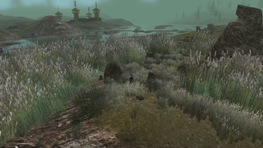 LOTRO photo of Rushgore