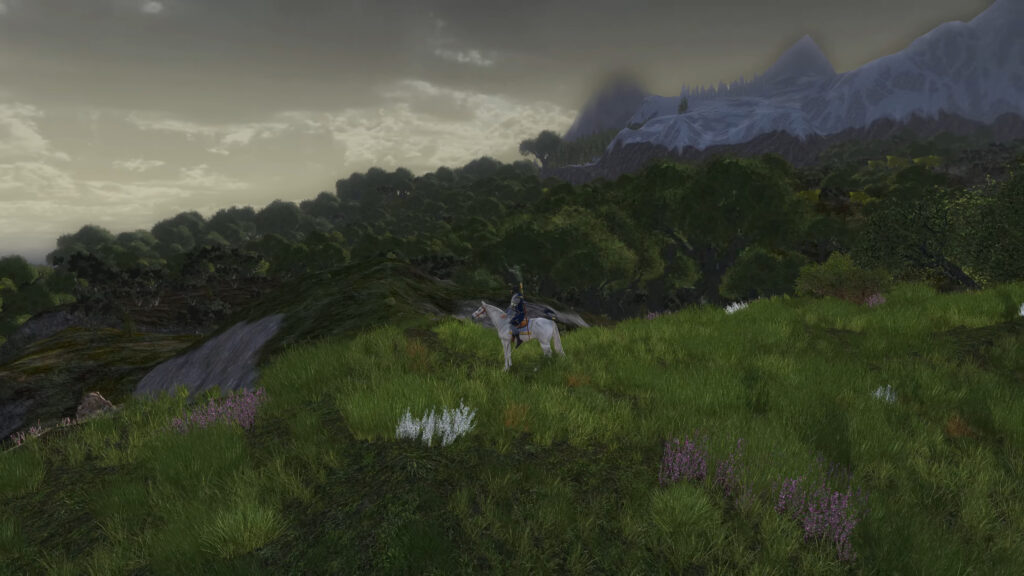 lotro photo of Eaves of Fangorn, Misty Mountains